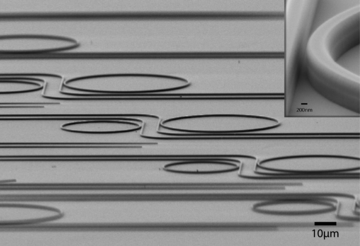 diamond_rings_array_sem.png